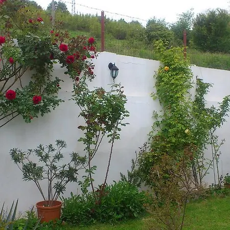 ゲストハウス Petrovi