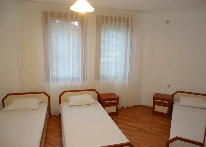 Petrovi Konukevi Obzor