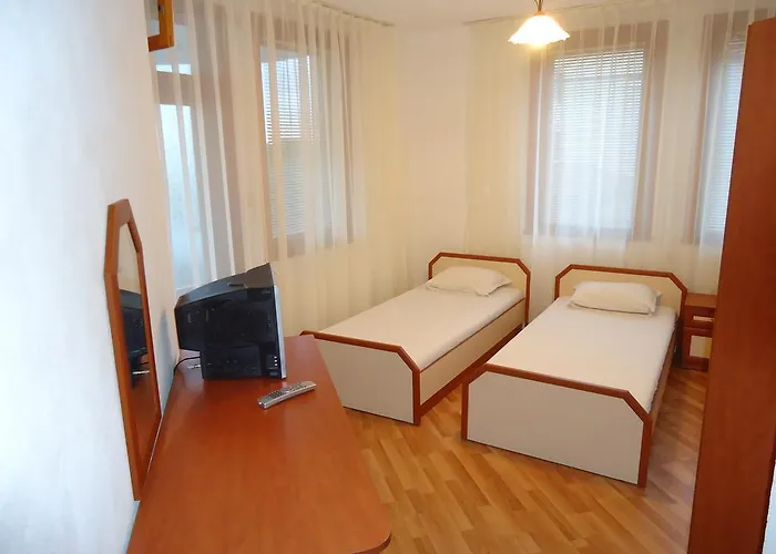 Petrovi 오브조르