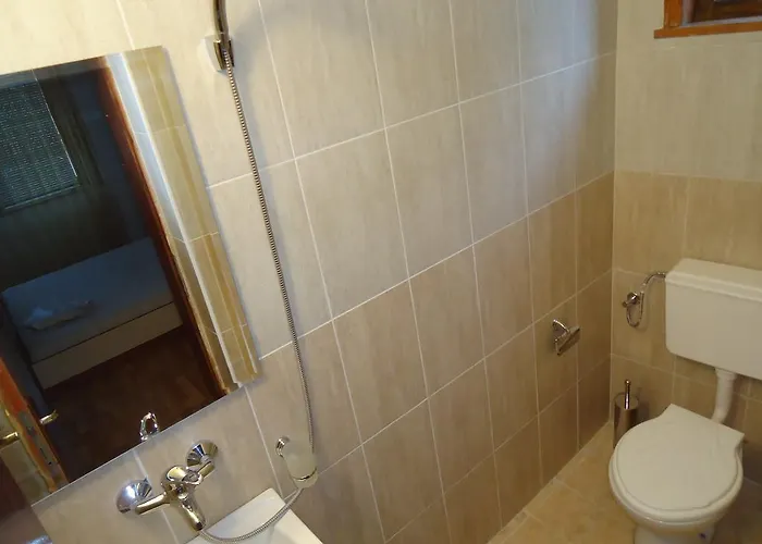 Petrovi Gasthof Obsor